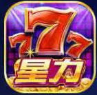 2.下载正版星力九代游戏平台